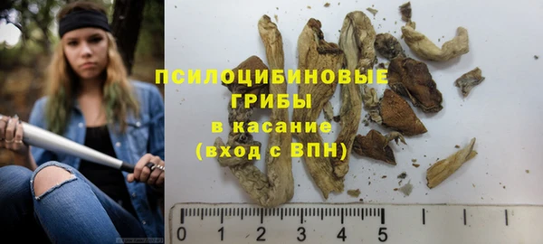 apvp Верея