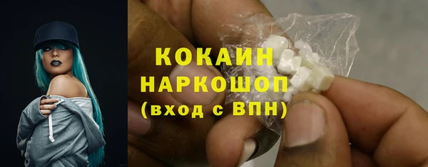 apvp Верея
