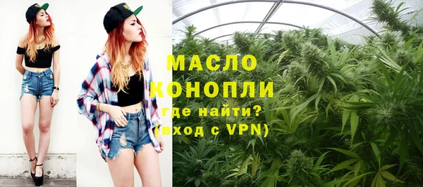 мдпв Вяземский