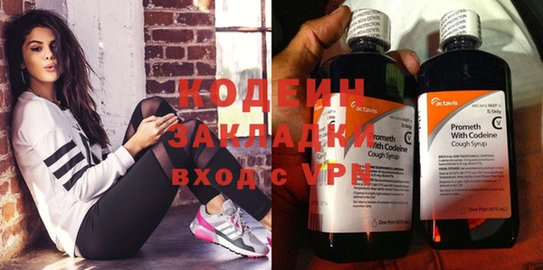 мдпв Вяземский