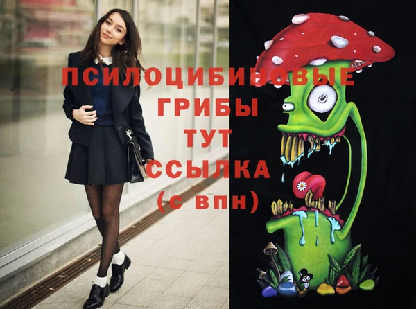 apvp Верея