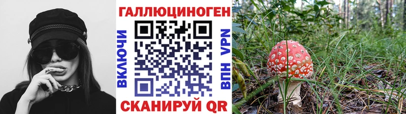 Псилоцибиновые грибы MAGIC MUSHROOMS  Заволжск 